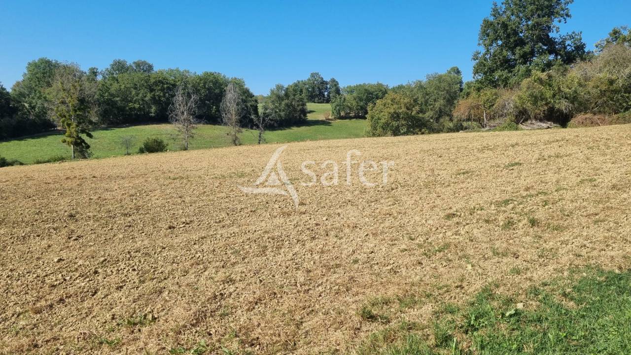 Explotación agrícola En venta Gers