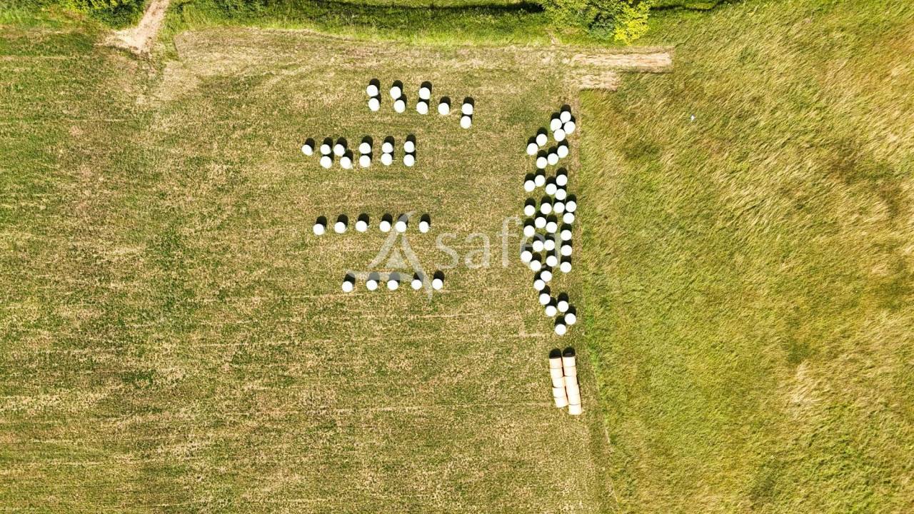 Explotaci&oacute;n agr&iacute;cola En venta Gers