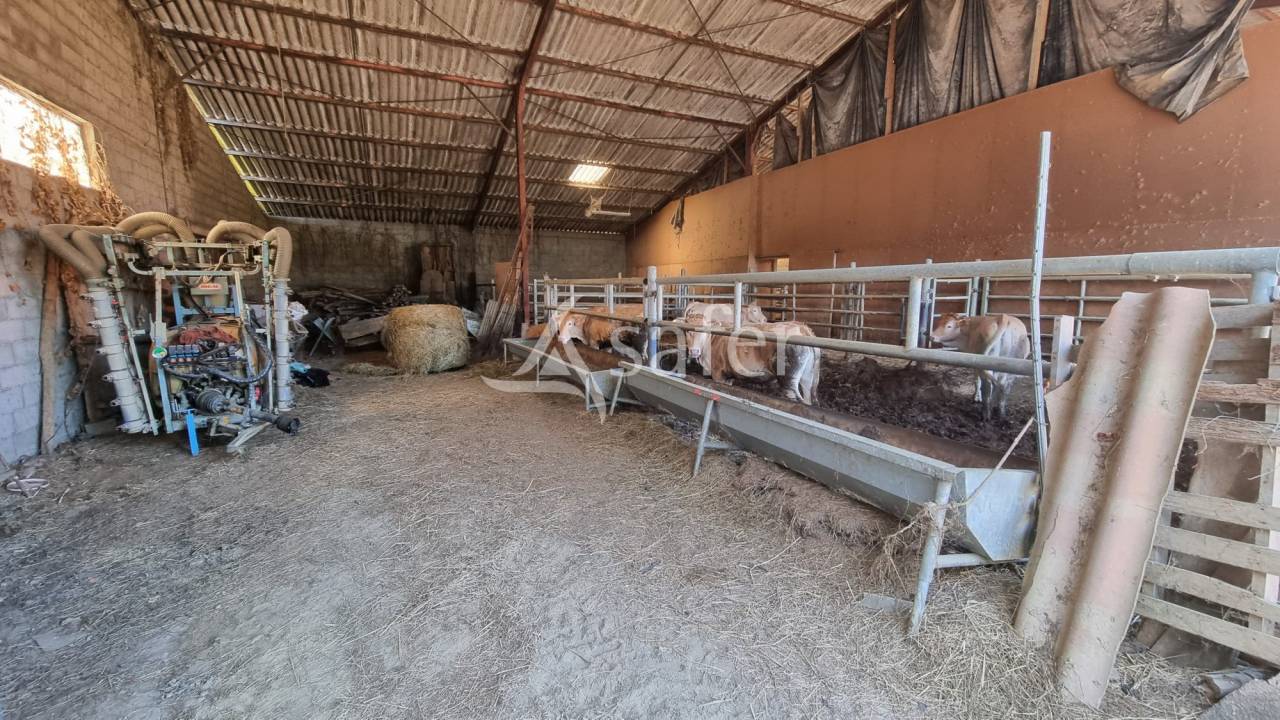 Explotaci&oacute;n agr&iacute;cola En venta Gers