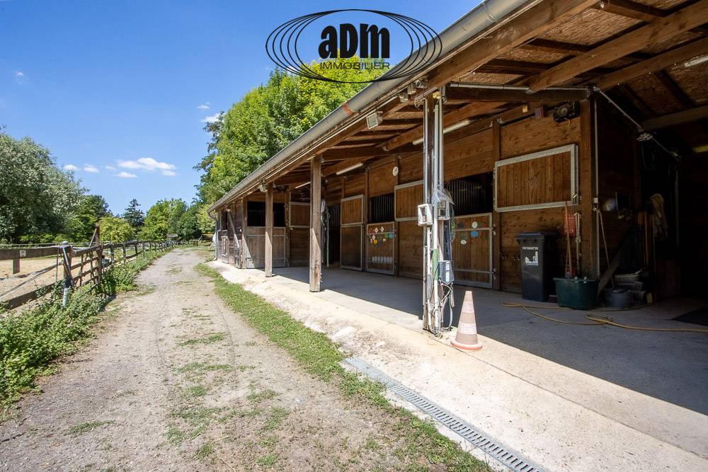 Bonita residencia ecuestre En venta Sena y Marne