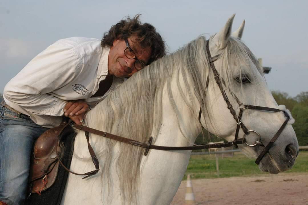 Caballo castrado PRE Pura Raza Española En venta 2008 Tordo