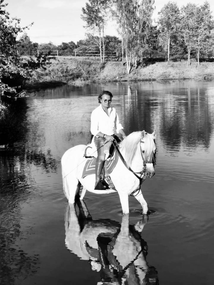 Caballo castrado PRE Pura Raza Española En venta 2008 Tordo