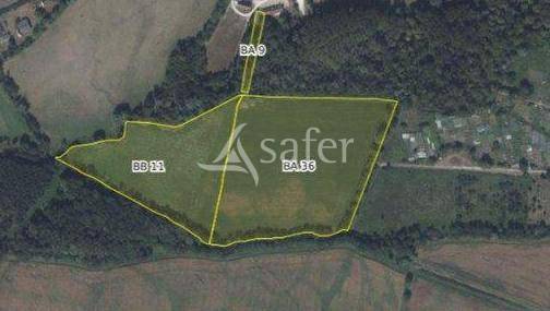 Explotación forestal En venta Cher