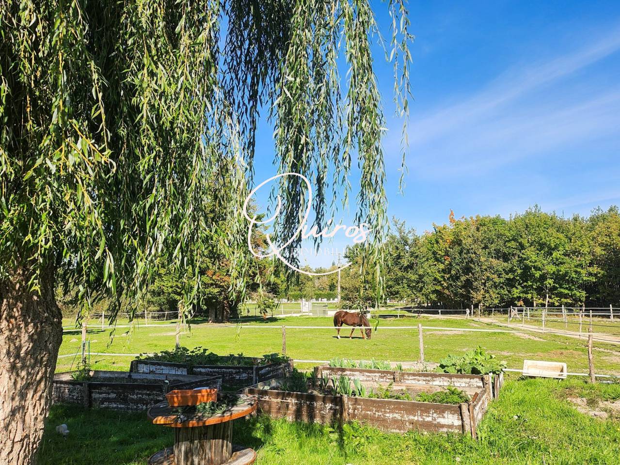 Propiedad ecuestre En venta Loir y Cher