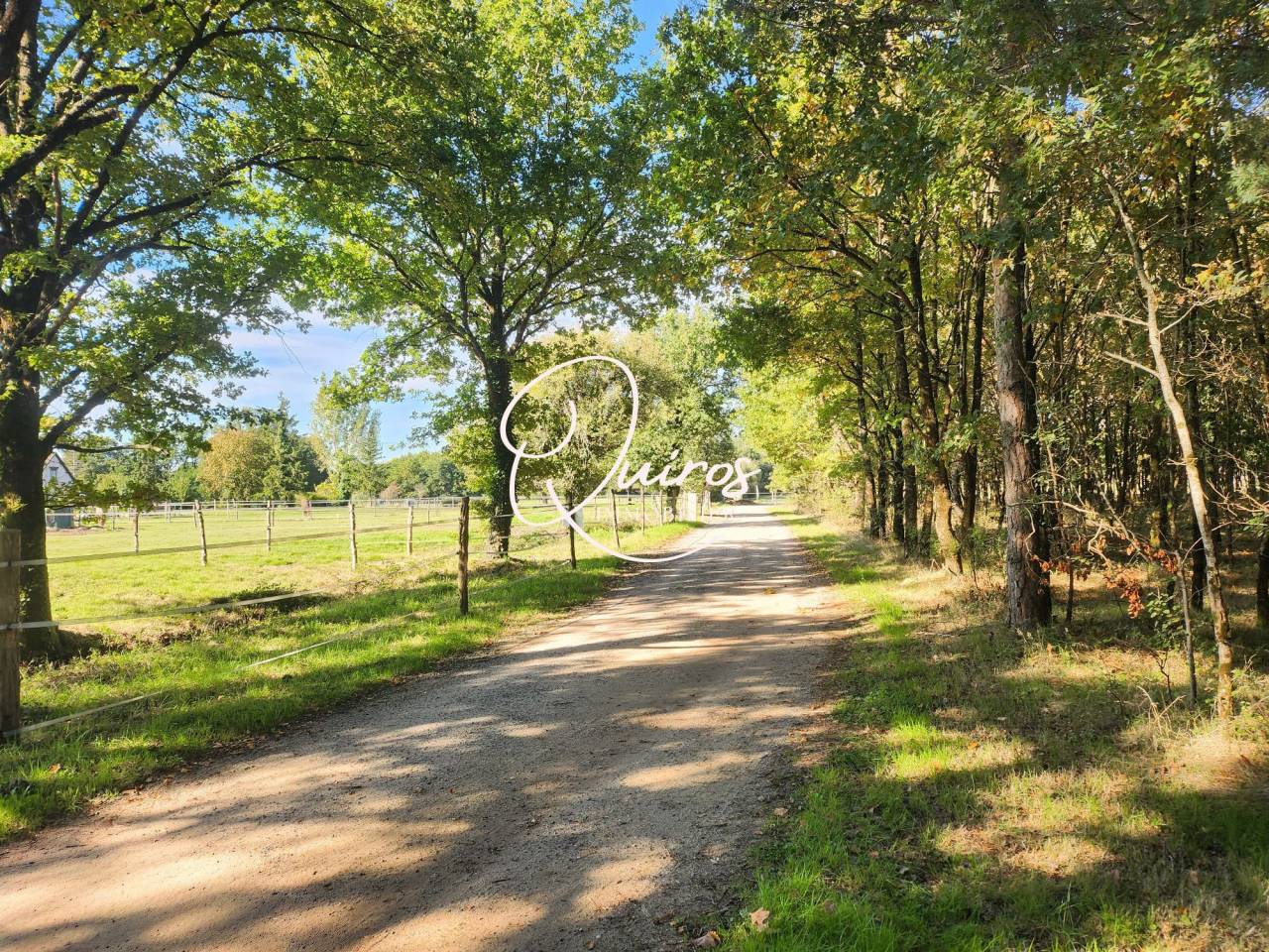 Propiedad ecuestre En venta Loir y Cher