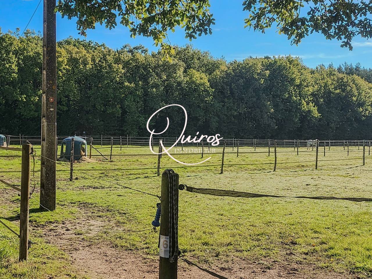 Propiedad ecuestre En venta Loir y Cher