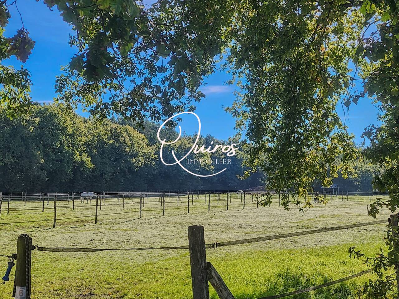 Propiedad ecuestre En venta Loir y Cher