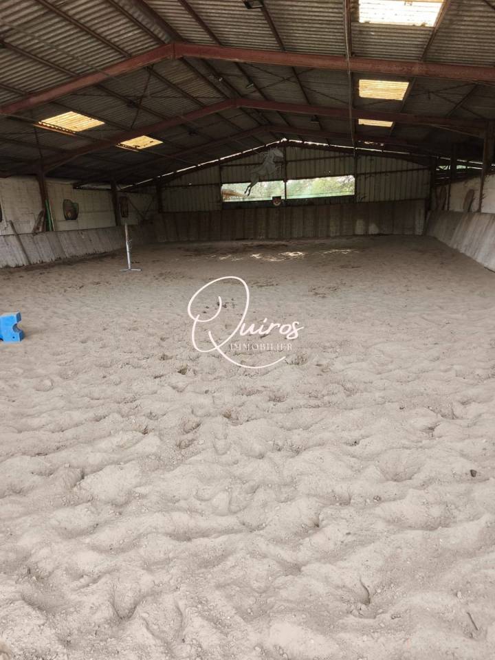 Propiedad ecuestre En venta Loir y Cher