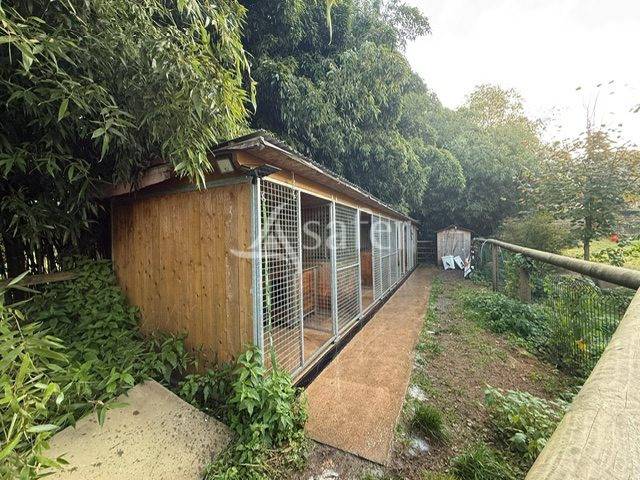 Explotación agrícola En venta Alto Saona