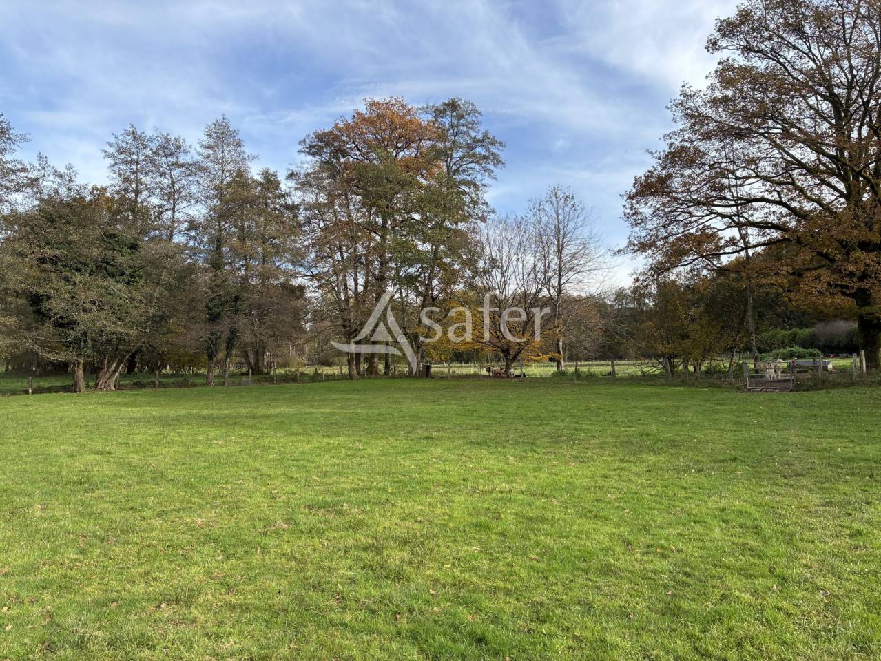 Explotación agrícola En venta Alto Saona