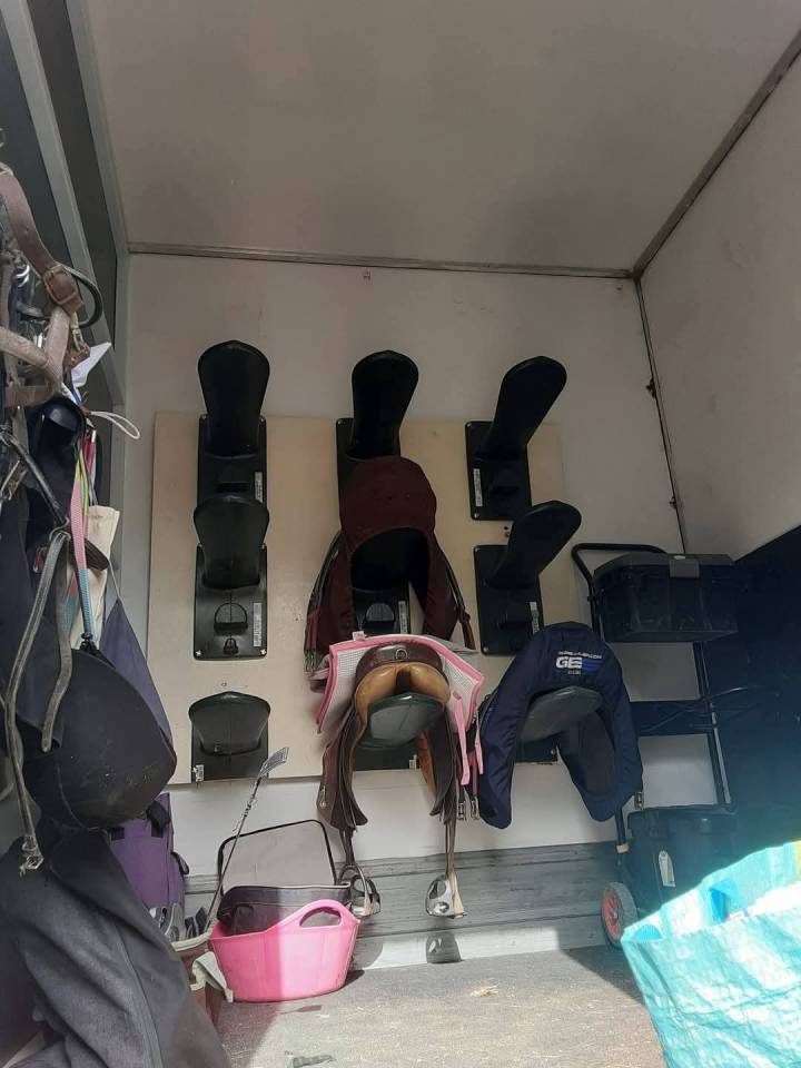 Camión para caballos Renault Premium  2010 De segunda mano