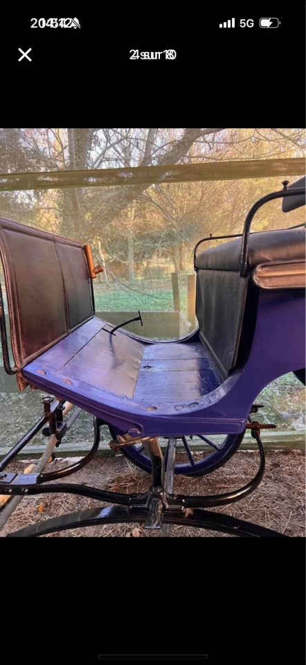 Coche enganches - Victoria - Otra marca -  