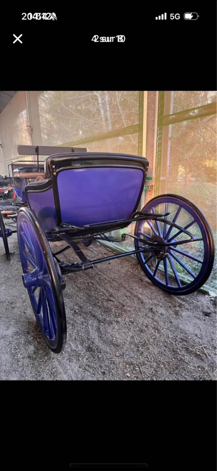 Coche enganches - Victoria - Otra marca -  