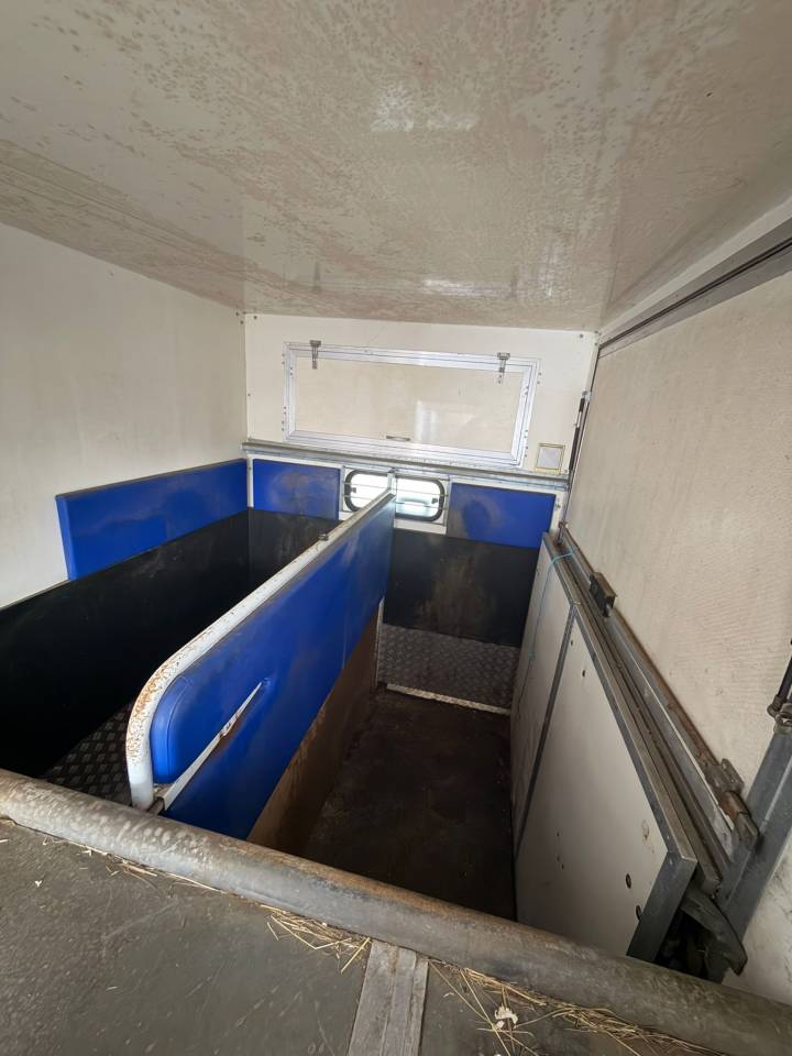 Furgoneta para caballos Citroen Jumper 2001 De segunda mano