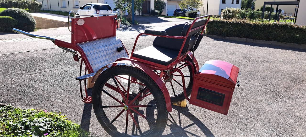 Coche enganches - Gig - Otra marca - Gig d'attelage 