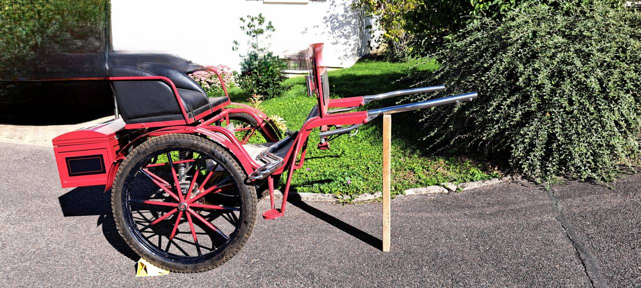 Coche enganches - Gig - Otra marca - Gig d'attelage 