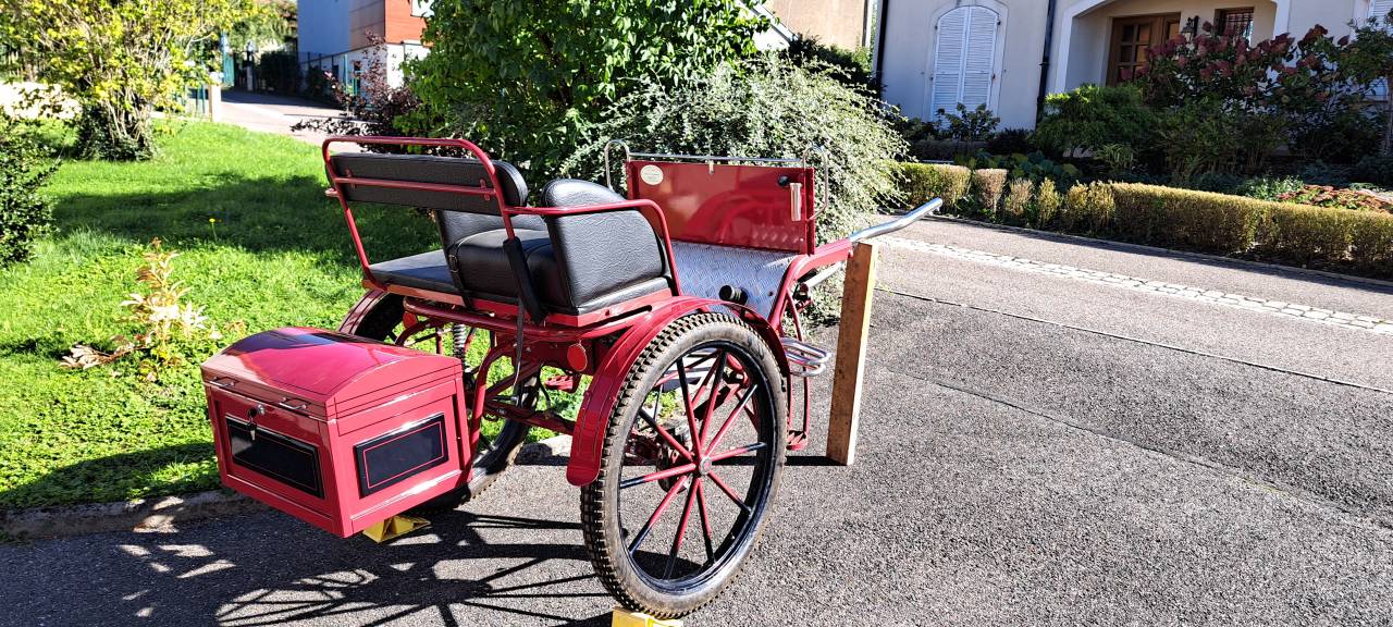 Coche enganches - Gig - Otra marca - Gig d'attelage 