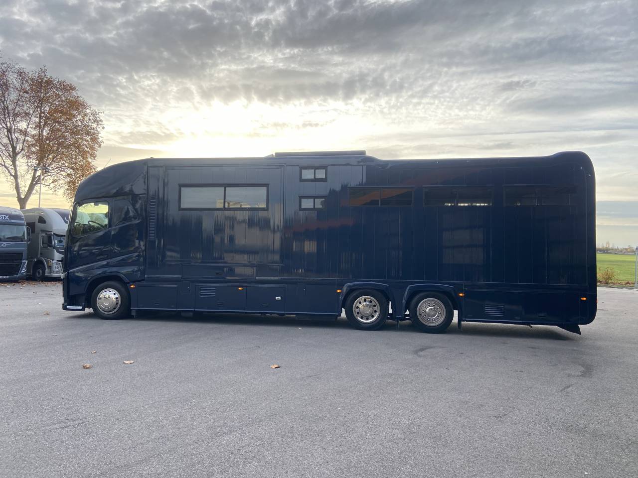 Camión para caballos STX  2014 De segunda mano