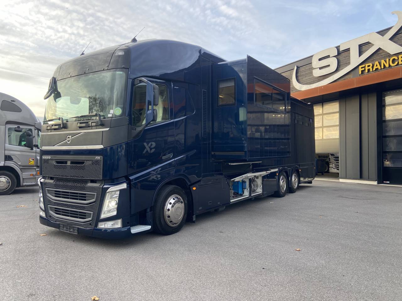 Camión para caballos STX  2014 De segunda mano