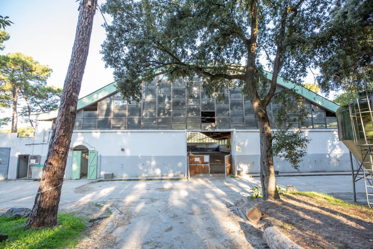 Centro ecuestre En venta Charente Marítimo