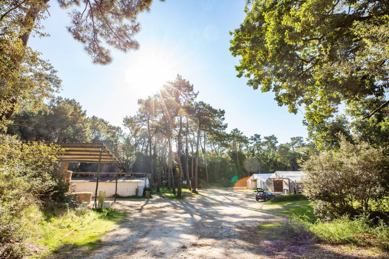 Centro ecuestre En venta Charente Marítimo