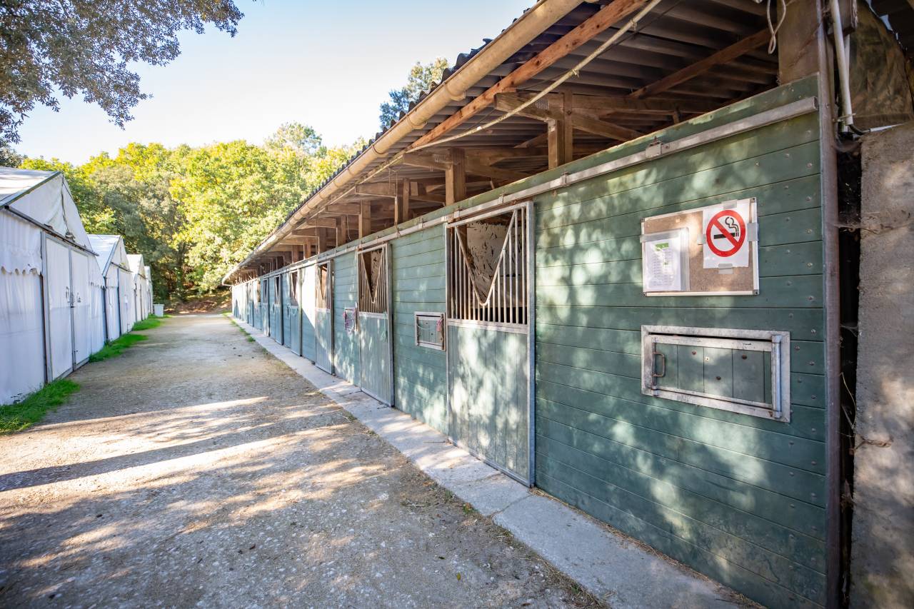 Centro ecuestre En venta Charente Marítimo