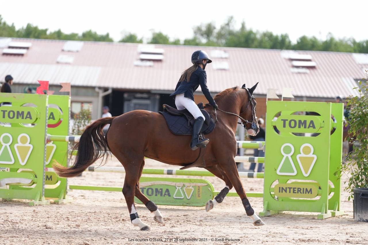 Yegua Origine Constatée En venta 2014 Alazán tostado por GUEPAR DE BREKKA