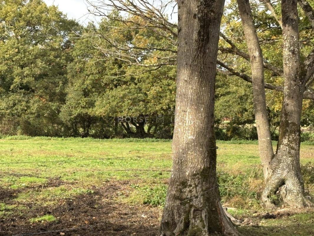 Acaballadero En venta Loira Atl&aacute;ntico