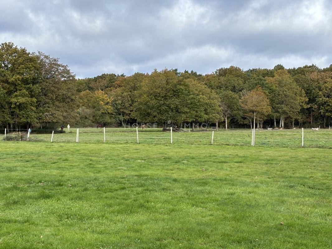 Acaballadero En venta Loira Atl&aacute;ntico