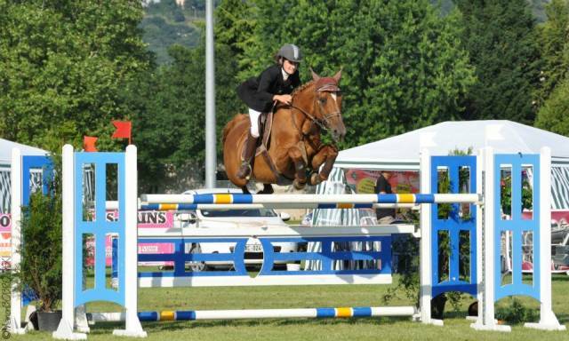 Caballo castrado Silla Francés En venta 2021 Alazán