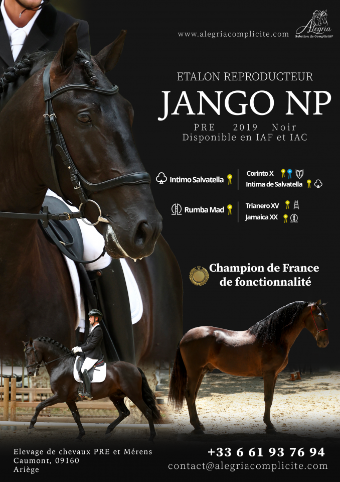 Jango NP - PRE Pura Raza Española 2019 por INTIMO SALVATELLA