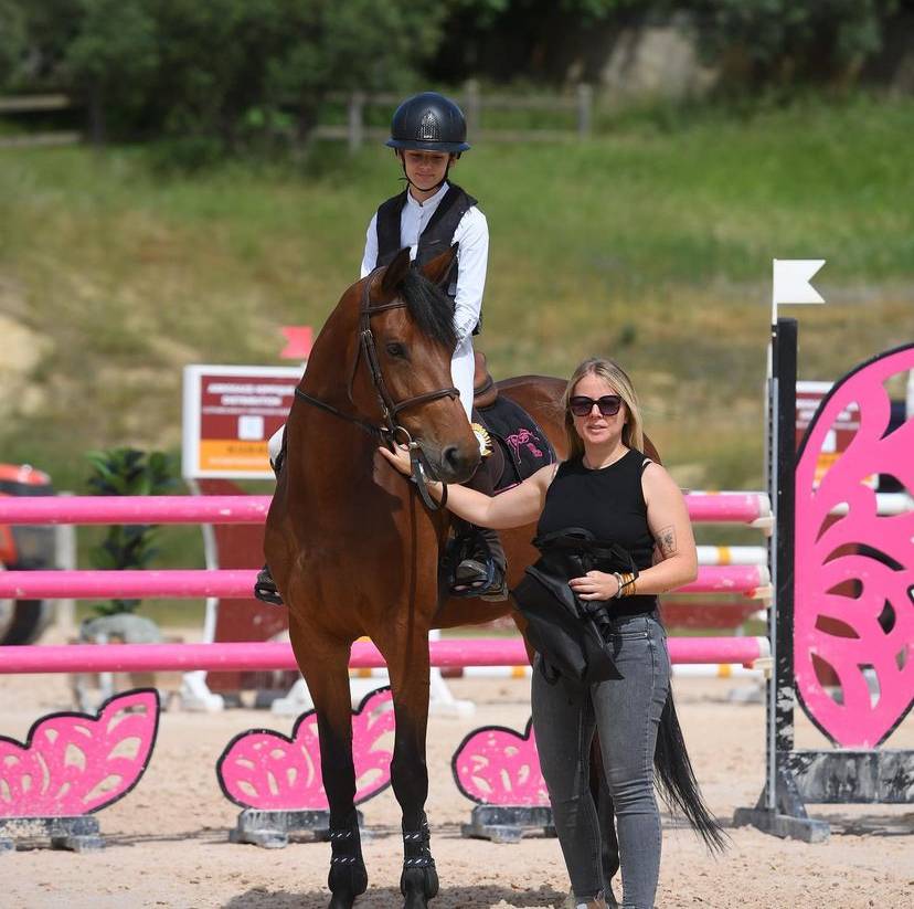 Yegua BWP Caballo de Sangre Belga En venta 2017 Bayo por ELDORADO