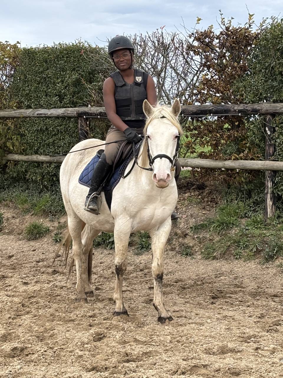 Caballo castrado Otra Raza de Poni En venta 2021 Blanco