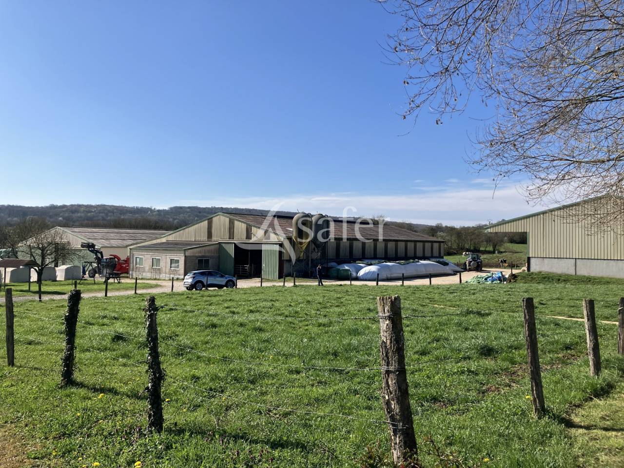 Explotación lechera En venta Alto Saona