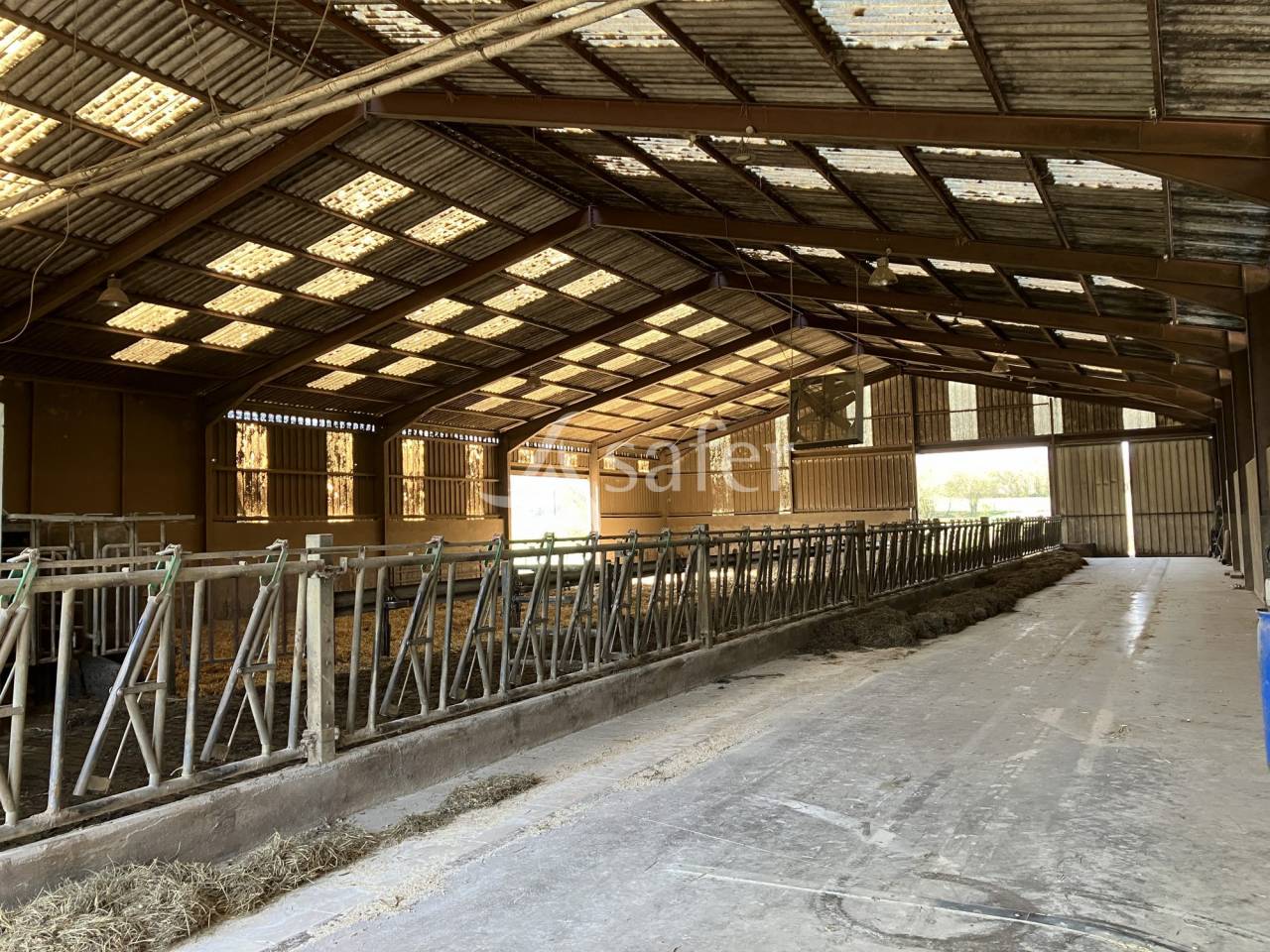 Explotación lechera En venta Alto Saona