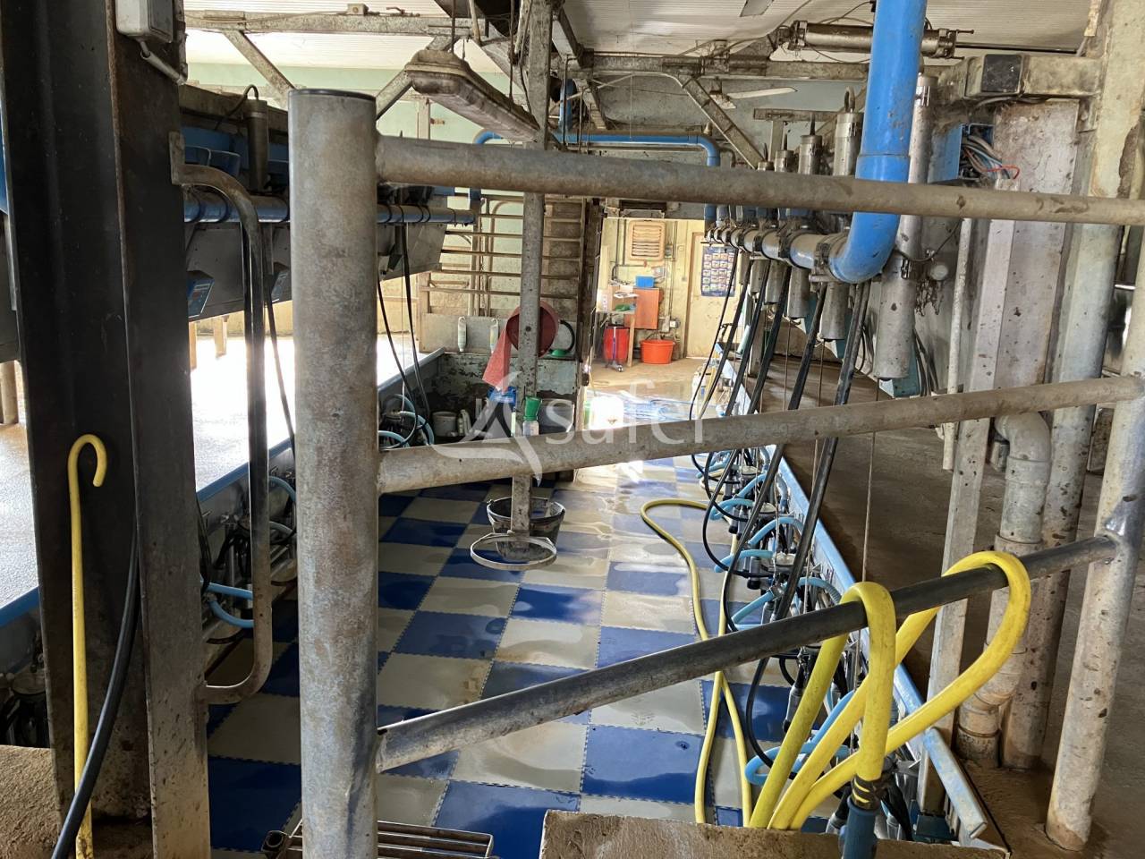 Explotación lechera En venta Alto Saona