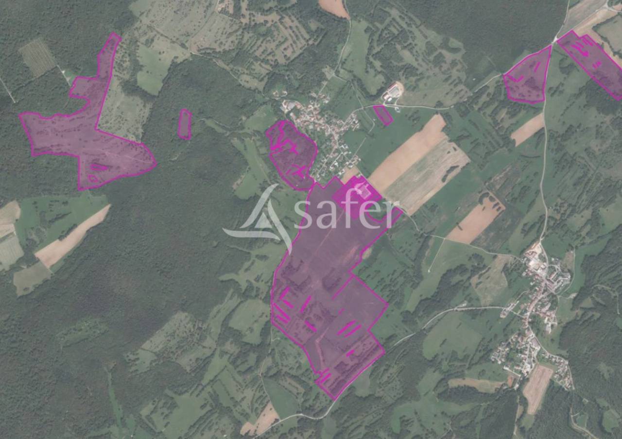 Explotación lechera En venta Alto Saona