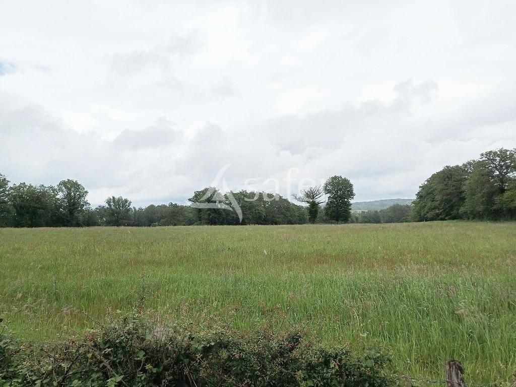 Explotación agrícola En venta Alto Vienne