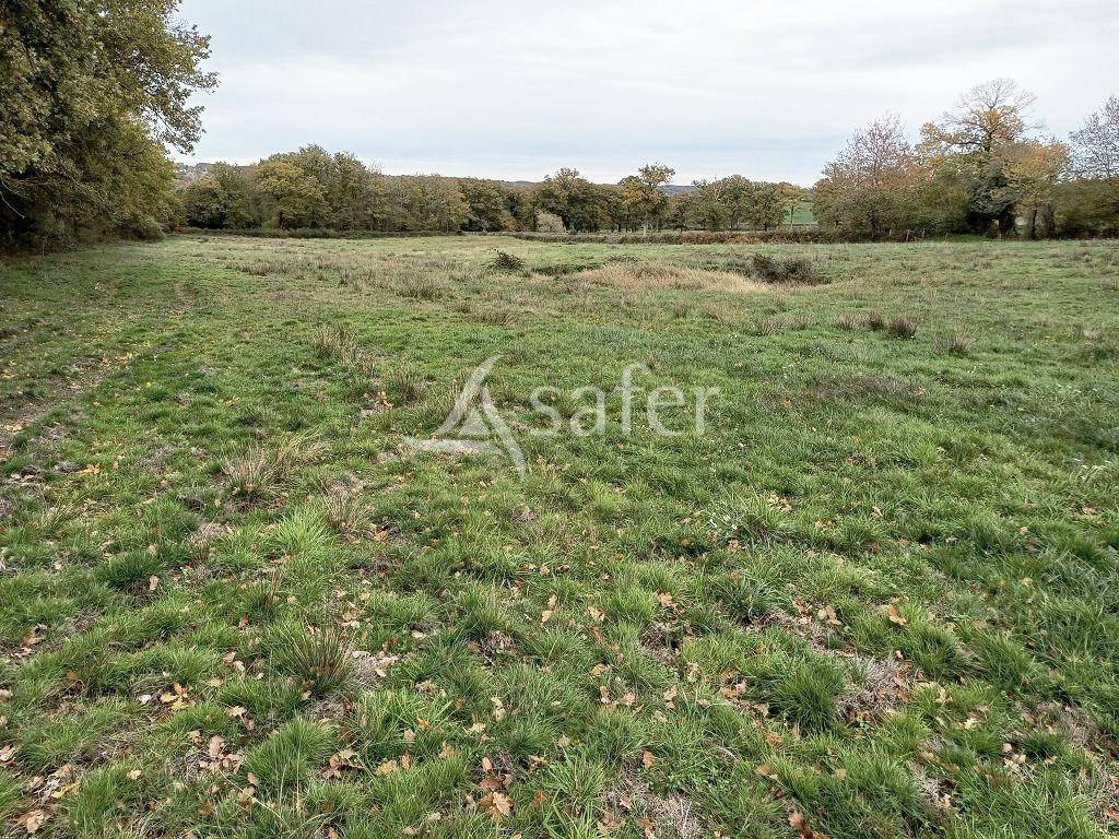 Explotación agrícola En venta Alto Vienne