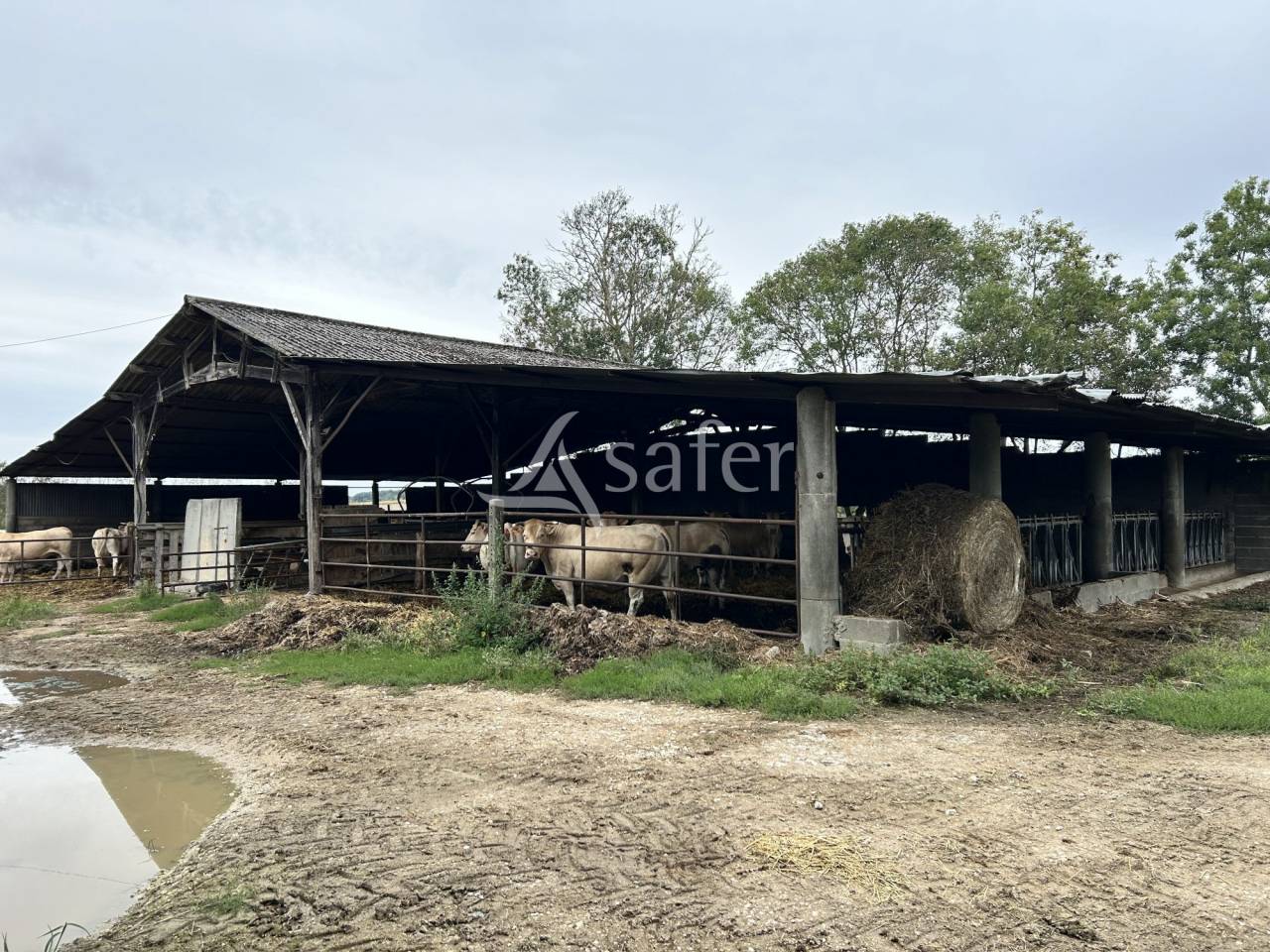 Explotaci&oacute;n agr&iacute;cola En venta Lot y Garona