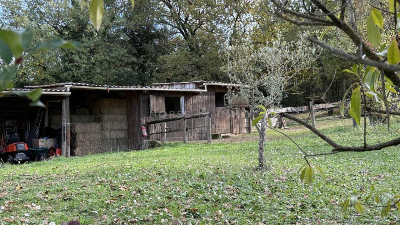 Propiedad ecuestre En venta Var