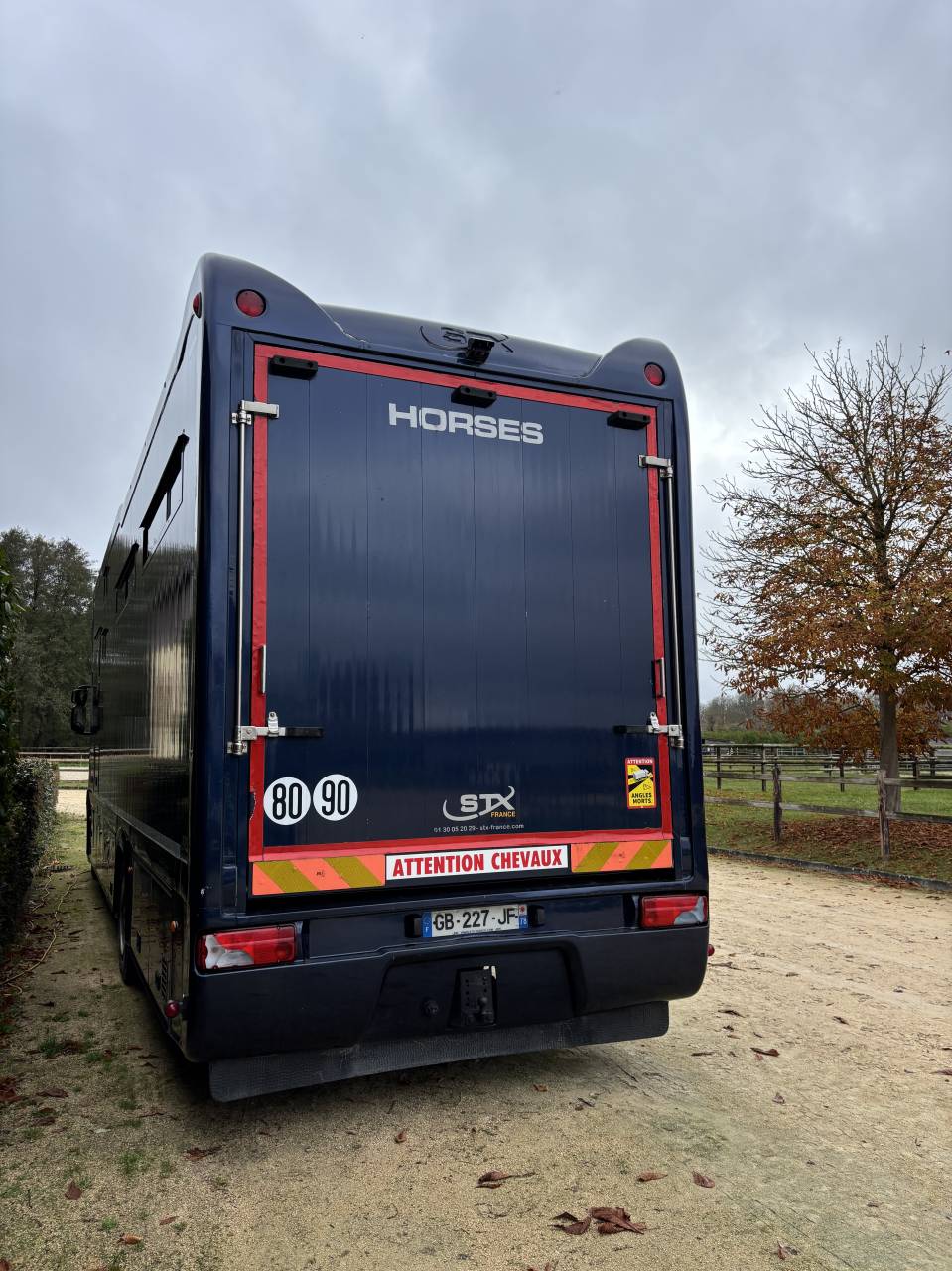 Camión para caballos Iveco STRALIS 2011 De segunda mano