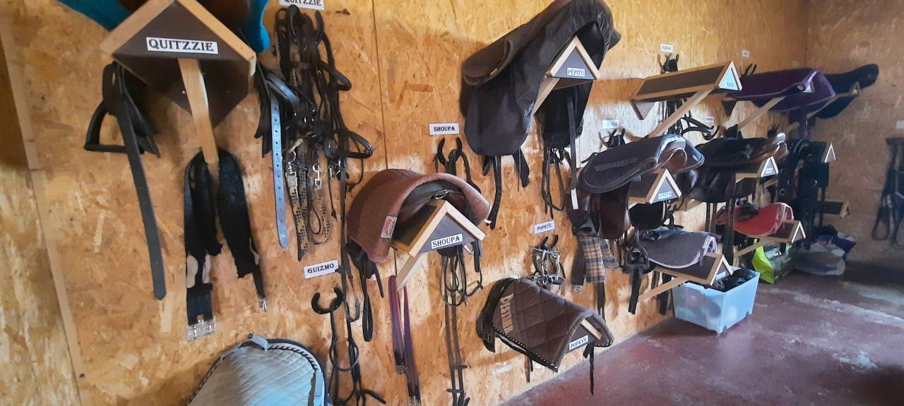 Cuadra de propietarios En venta Deux-Sèvres