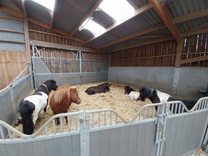 Cuadra de propietarios En venta Deux-Sèvres