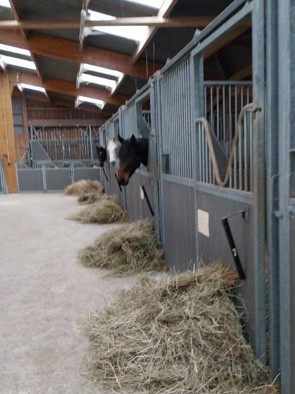 Cuadra de propietarios En venta Deux-Sèvres