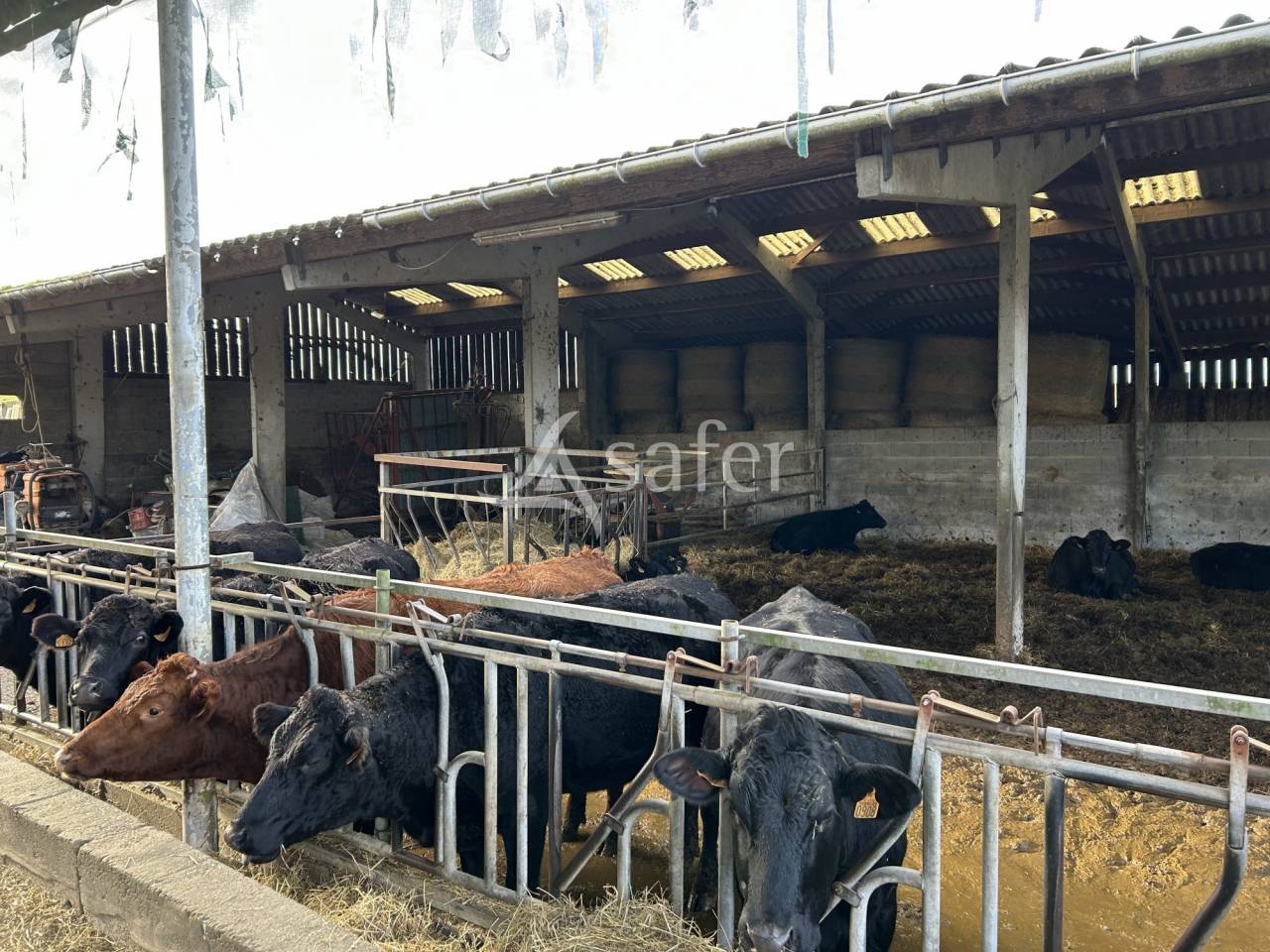 Explotación agrícola En venta Lot y Garona