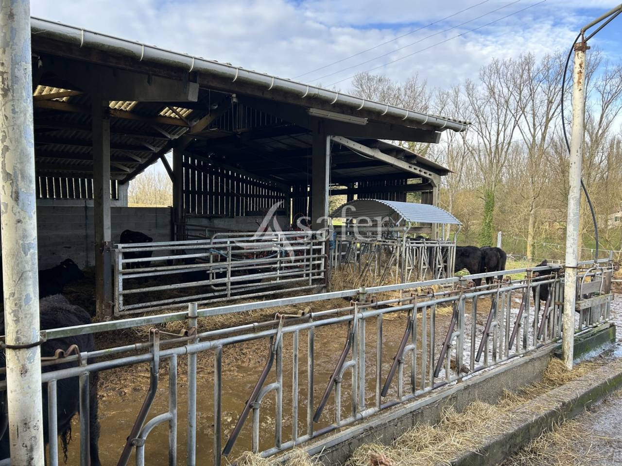 Explotación agrícola En venta Lot y Garona