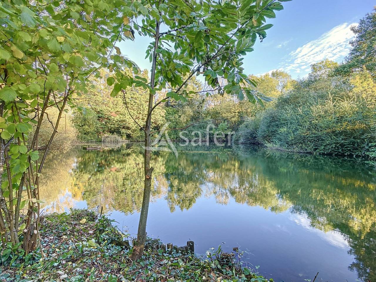 Propiedad rural En venta Vendée