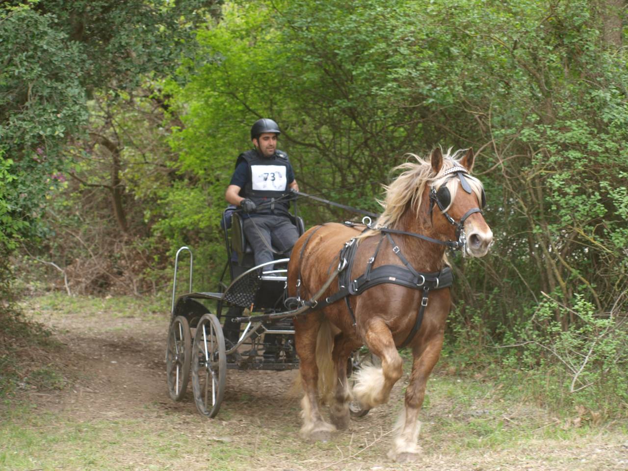 Coche enganches - Maratón competición - Otra marca -  
