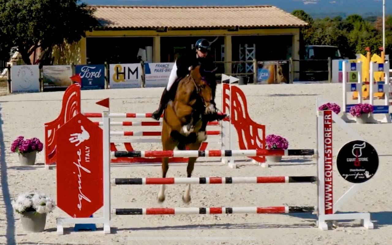 Caballo castrado Silla Francés En venta 2019 Bayo por BALOU DU ROUET